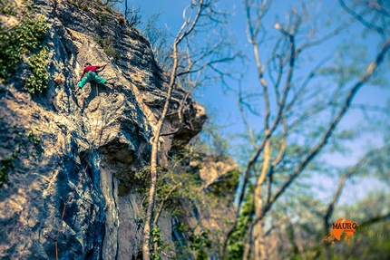 Falesia Ceredo Falconi - Arrampicata nella falesia Ceredo Falconi (Monti Lessini, VR)