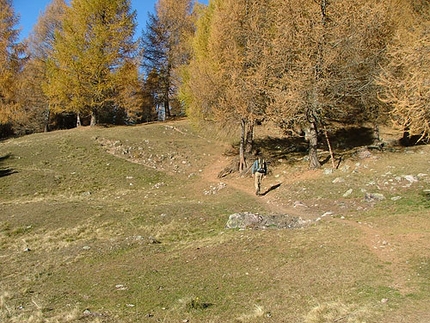 Ritten Südtirol walking trekking  - On the Ritten plateau