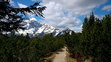 Impronte di dinosauri, Pelmo, Dolomiti - Impronte di dinosauri, Monte Pelmetto, Dolomiti