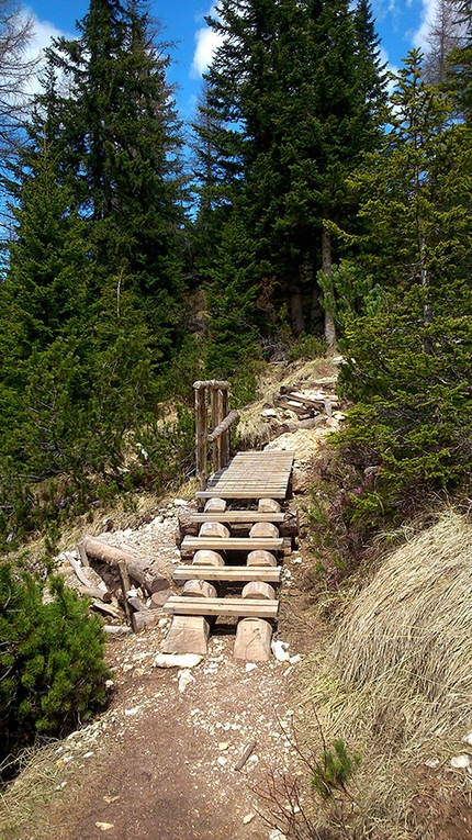 Impronte di dinosauri, Pelmo, Dolomiti - Impronte di dinosauri, Monte Pelmetto, Dolomiti