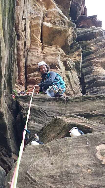 The Old Man of Hoy - Torvagando for Nepal - Secondo tiro e puffins curiose