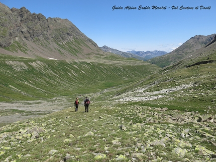 Cima Viola, Alta Valtellina - Cima Viola - la Val Cantone di Dosdè