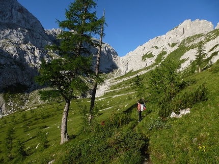 Creta Forata, Alpi Carniche - Vallone della Creta Forata