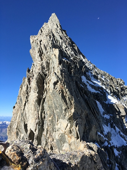 Denis Trento, Cresta di Rochefort, Grandes Jorasses, Monte Bianco - Denis Trento e la Cresta di Rochefort e la traversata delle Grandes Jorasses durante il primo tentativo del 24/08/2016