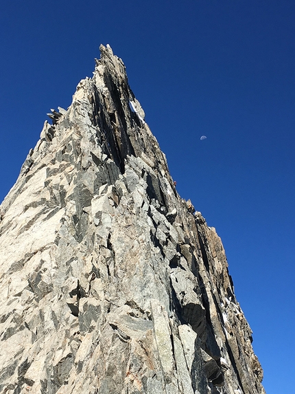 Denis Trento, Cresta di Rochefort, Grandes Jorasses, Monte Bianco - Denis Trento e la Cresta di Rochefort e la traversata delle Grandes Jorasses durante il primo tentativo del 24/08/2016