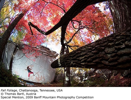 2009 Banff Mountain Photography Competition - Special Mention: Fall Foliage