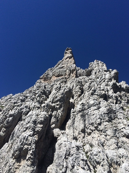 Tuttavita, Torre Laura, Marmarole, Dolomiti, Alex Pivirotto, Letizia Donó, Riccardo Donó - La parete dove sale la via Tuttavita, Torre Laura, Marmarole, Dolomiti