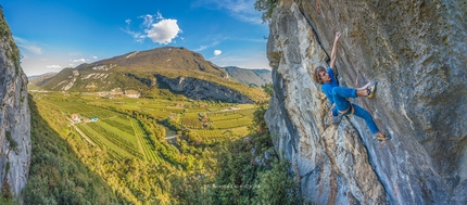 Rolando Larcher, Elephant Baby, San Paolo, Arco - Alessandro Larcher climbing Elephant Baby 8a, San Paolo, Arco