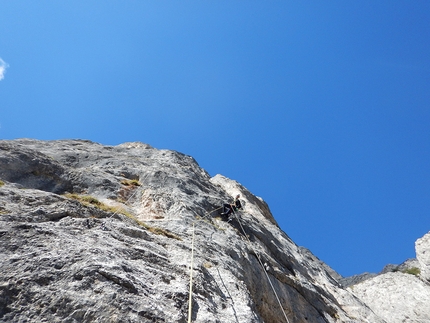 Via dei Balotini, Torre Argentina, Vallaccia, Dolomiti, Enrico Geremia, Nicolò Geremia - Durante l'apertura della 'Via dei Balotini' alla Torre Argentina, Vallaccia, Dolomiti