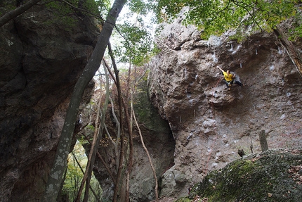 Petra Klingler, South Korea, climbing, Mudeungsan Bouldering Festival - Petra Klinger climbing at Sun Woon San in South Korea