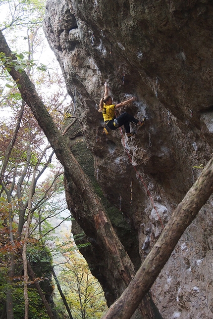 Petra Klingler, South Korea, climbing, Mudeungsan Bouldering Festival - Petra Klinger climbing at Sun Woon San in South Korea