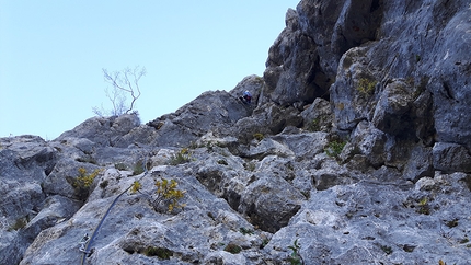 Monte Procinto, Alpi Apuane, Elio Bonfanti - Monte Procinto: salendo il secondo tiro di Effetti Collaterali