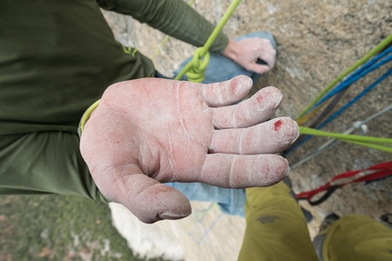 Adam Ondra, Dawn Wall, El Capitan, Yosemite - Adam Ondra sale la Dawn Wall, El Capitan, Yosemite