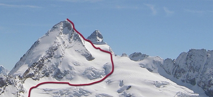 Dent d'Hérens, Scialpinismo e Sci Ripido, i 4000 delle Alpi - Dent d'Hérens