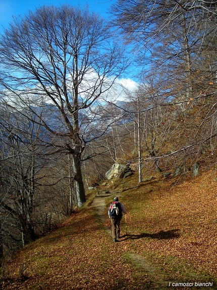 Vallone di Sea, Val Grande di Lanzo - Arrivando a Pera Berghina.  Come era.