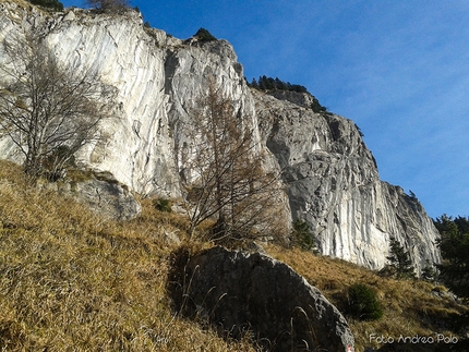 Andrea Polo, Scogliera, Pal Piccolo - La falesia Scogliera, parete sud del Monte Pal Piccolo, Alpi Carniche