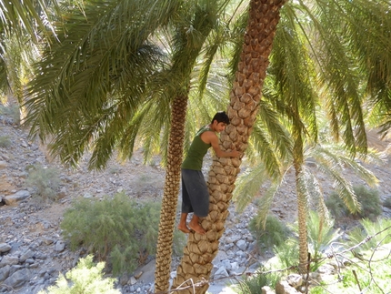 Oman Climbing Trip, Daniele Canale, Manrico Dell’Agnola, Tommaso Lamantia, Giovanni Pagnoncelli, Marcello Sanguineti - Oman Climbing Trip 2017: gente del posto