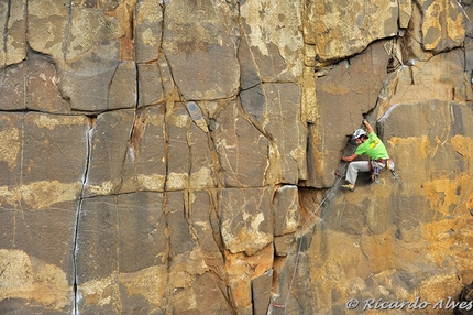 Casal Pianos - Nuno Pinheiro, one of the active developers of Casal Pianos at “Vida de casal”, 7b