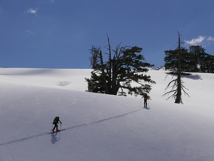 Grecia, scialpinismo - Giornata troppo splendida per sprecarne anche solo un minuto: decidiamo di ripellare e regalare altre curve ai nostri sci 
