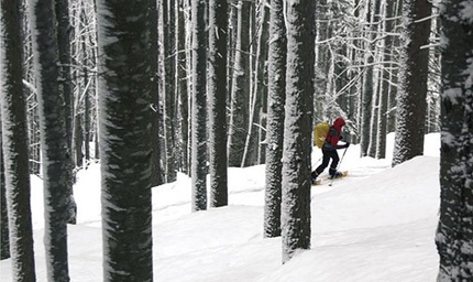 Racchette da neve in Friuli