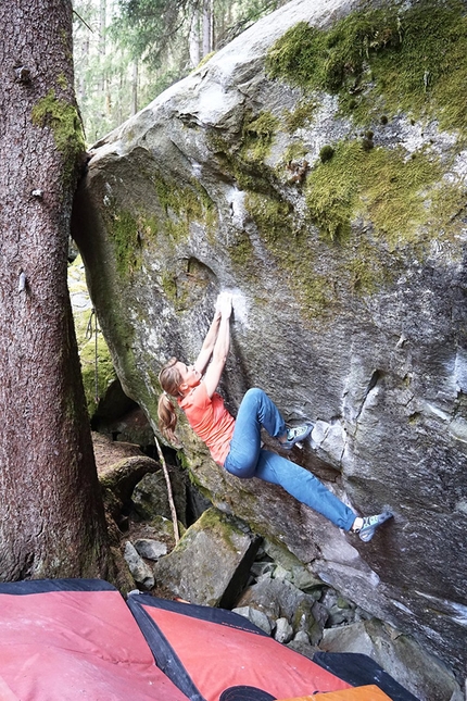 Anna Stöhr, Magic Wood, Svizzera - Anna Stöhr sale Steppenwolf 8B a Magic Wood, Svizzera