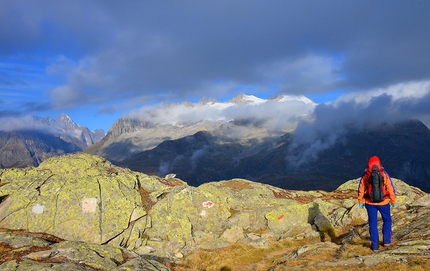 Aletsch glacier, Switzerland - Aletsch Arena: Bettmerhorn to Moosfluh