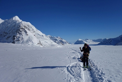 Denali, Alaska, Diretta Slovacca, McKinley, David Bacci, Luca Moroni - David Bacci e Luca Moroni sulla Diretta Slovacca sul Denali in Alaska, giugno 2017