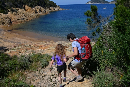 Isola d'Elba, Toscana, camminare - Isola d'Elba: camminare da Biodola a Procchion sul sentiero tra mare e spiagge dorate