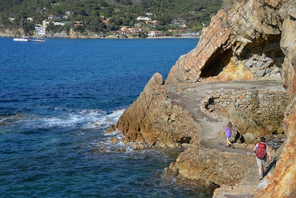 Isola d'Elba, Toscana, camminare - Isola d'Elba: camminare da Biodola a Procchion sul sentiero tra mare e spiagge dorate