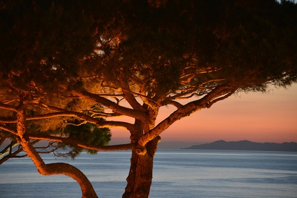 Isola d'Elba, Toscana, camminare - Isola d'Elba: Biodola di sera