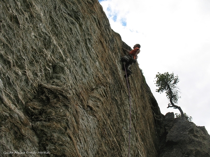 Falesia dei Forni, Alta Valtellina, Parco Nazionale dello Stelvio - Climbing at Forni in the Stelvio National Park