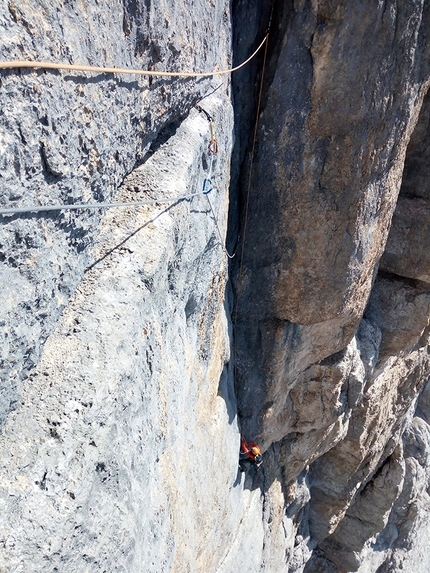 Federica Mingolla, Francesco Rigon, Chimera verticale, Civetta, Dolomiti - Francesco Rigon su Chimera verticale, Civetta, Dolomiti, salita insieme a Federica Mingolla