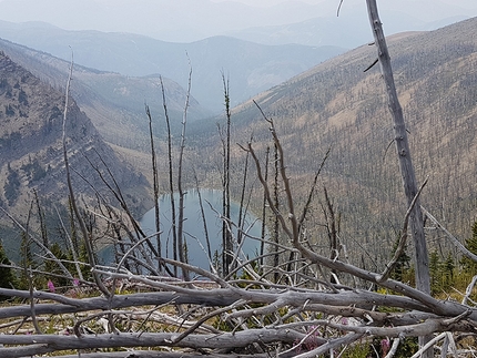 Continental Divide Trail, CDT, Rocky Mountains, trekking, Diego Salvi, Benigno Carrara - Continental Divide Trail: foresta incendiata sopra Bighon Lake
