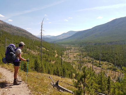 Continental Divide Trail, l'affascinate trekking USA lungo la cresta delle Rocky Mountains