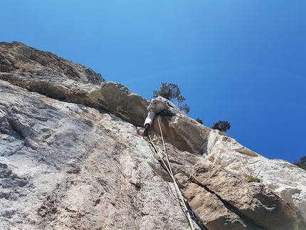 Leoni in gabbia, Monte Casale, Valle del Sarca, Gianni Canale, Aldo Mazzotti, Franco Cavallaro - Leoni in gabbia al Monte Casale: Aldo Mazzotti in apertura sulla 5° lunghezza