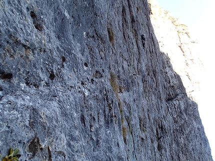 Seconda Pala di San Lucano, Dolomiti, Pale di San Lucano - Santiago Padros appena prima dei camini sul tiro di VII di 'Llops de mar', Seconda Pala di San Lucano, Dolomiti, aperta il 16/10/2017 insieme a Luca Vallata