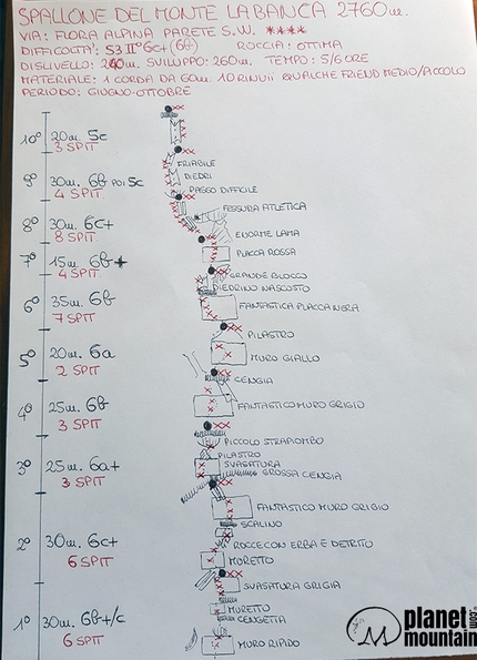 Spallone del Monte La Banca, Dolomiti, Marco Bozzetta, Roberto Ausermiller - Il disegno di Flora Alpina, Spallone del Monte La Banca (2680m), Dolomiti (Roberto Ausermiller, Marco Bozzetta 08/2017)