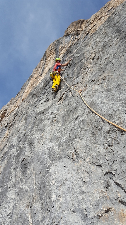 Flora Alpina, al Passo di San Pellegrino in Dolomiti una nuova via d'arrampicata