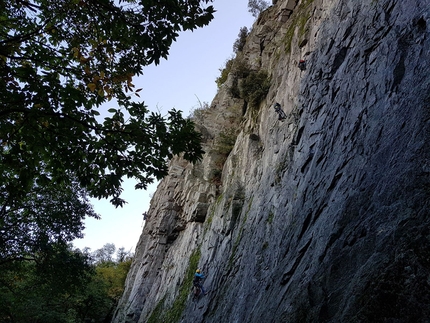 Rocca Pendice, Colli Euganei, Padova - Durante i lavori di manutenzione della falesia di Rocca Pendice (Padova)