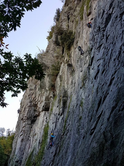 Rocca Pendice, Colli Euganei, Padova - Lavori di manutenzione della falesia di Rocca Pendice (Padova)