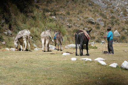 Perù, sciare, Artesonraju, Huascaran, Tocllaraju, Yannick Boissenot, Frederic Gentet, Stéphane Roguet - Preparativi per sciare in Perù (Yannick Boissenot, Frederic Gentet, Stéphane Roguet estate 2017)