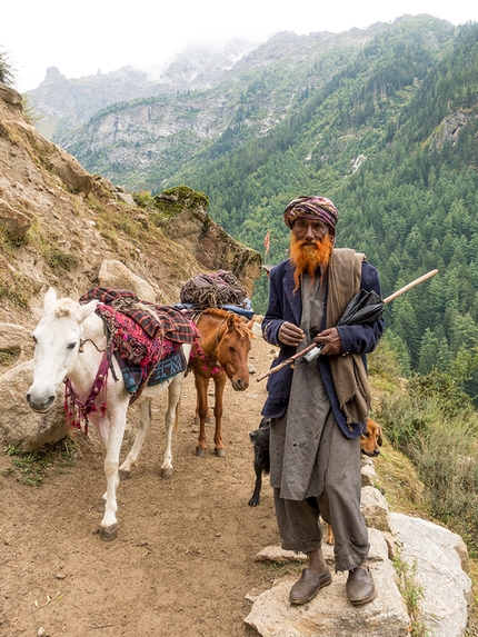 Cerro Kishtwar, Himalaya, Thomas Huber, Stephan Siegrist, Julian Zanker - Cerro Kishtwar: the only mode of transportation in the valley of Machal are horses, donkeys, and mules.