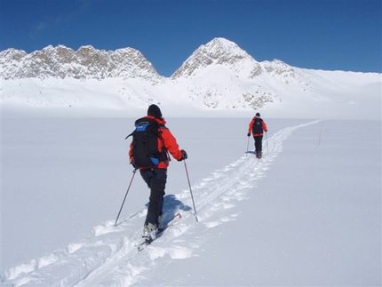 Adamello ski mountaineering - Adamello Tour - Passo Brizio