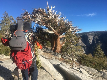 Nicolas Favresse, Siebe Vanhee, El Corazon, Yosemite, El Capitan - Siebe Vanhee and Nicolas Favresse on the summit of El Capitan after their free repeat of El Corazon