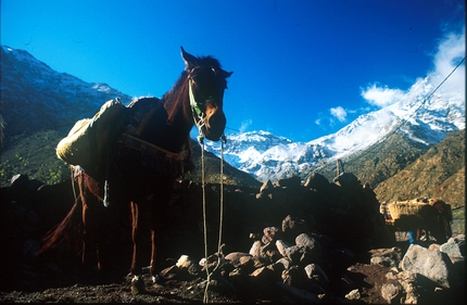 Scialpinismo in Marocco, Alto Atlante, Africa - Pronto per la salito al rifugio Neltner.