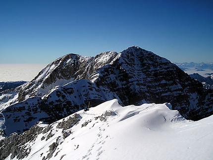 Alpi Giulie: scialpinismo in Friuli  - Vista sul Canin dalla vetta del Monte Ursic.