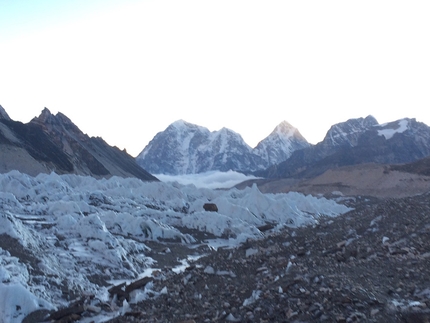 Ali Sadpara, Everest - Ali Sadpara