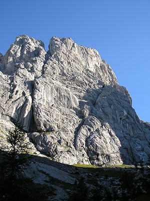 Alpi Carniche, arrampicate classiche e moderne - Alpi Carniche: Campanile Delle Genziane