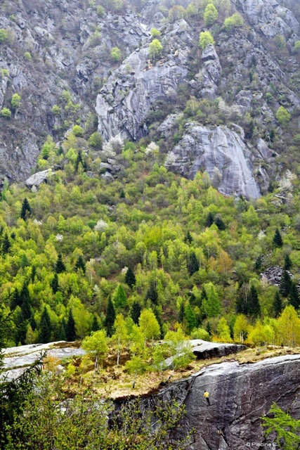 Melloblocco 2010 - Val di Mello - E il Sasso Remenno guarda i Melloblocchisti