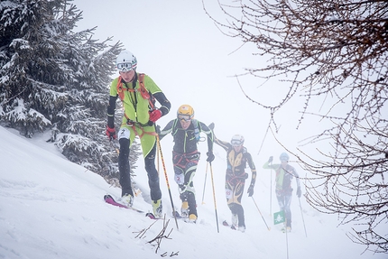 Transcavallo 2018, Alpago, scialpinismo - Durante la terza tappa della 35° gara di scialpinismo Transcavallo